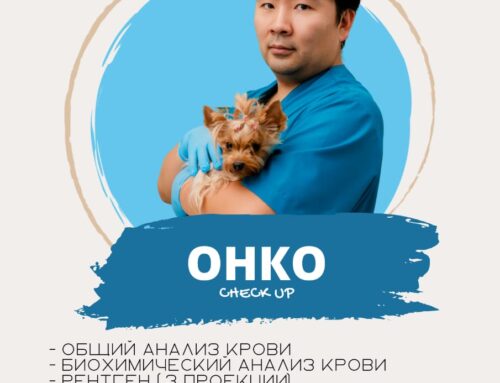 Check-up #3 «ОНКО»