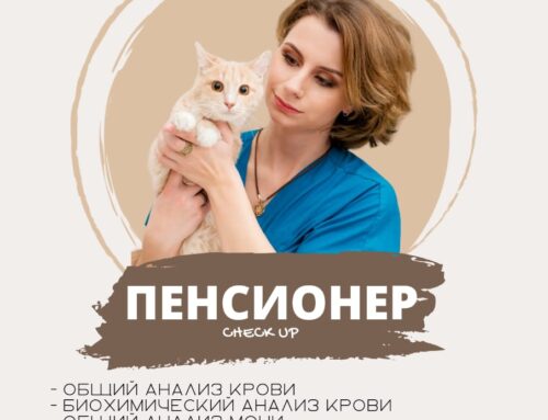 Check-up #4 «Пенсионер»