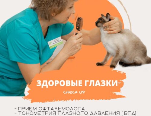 Check-up #2 «Здоровые глазки»