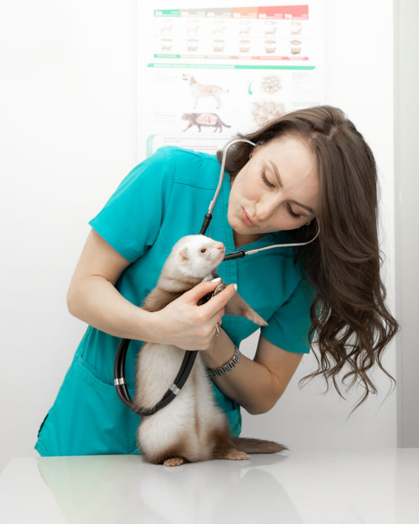 Прием ветеринарных врачей узких специальностей
