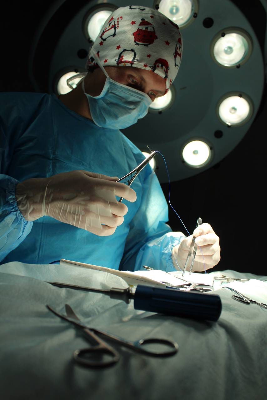 Плановая хирургия в ветклинике ЦВМ