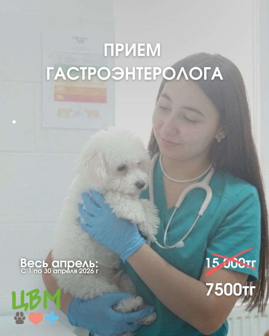 акция на прием гастроэнтеролога