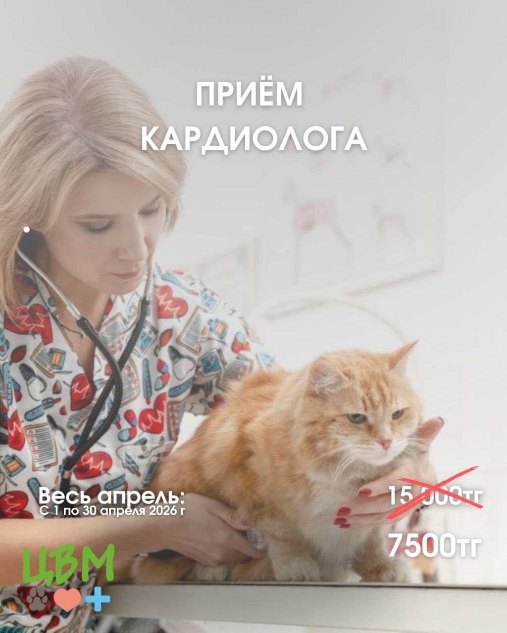 акция на прием кардиолога