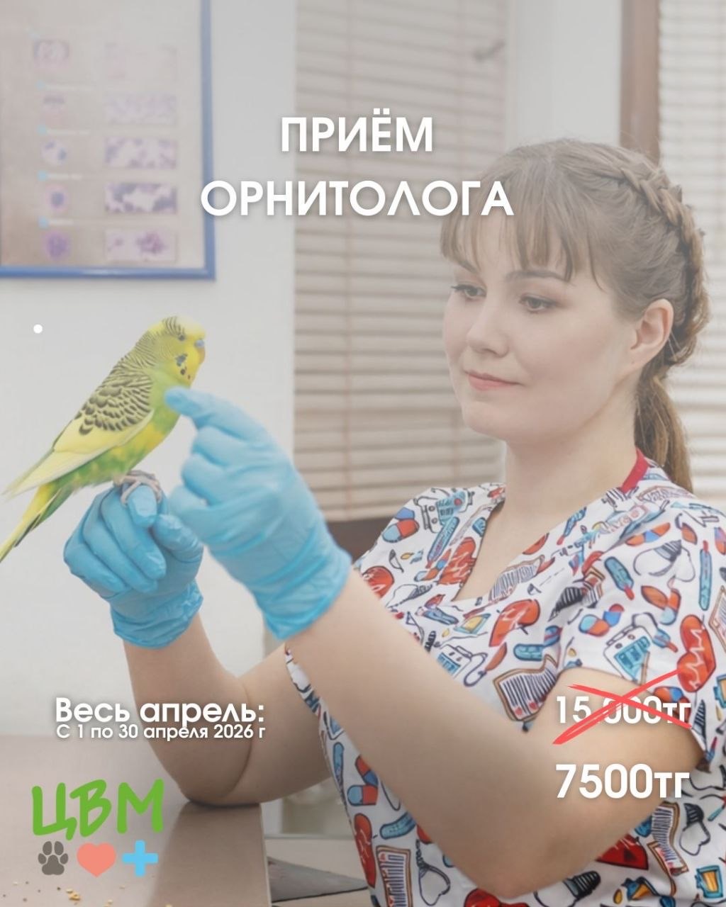 акция на прием орнитолога