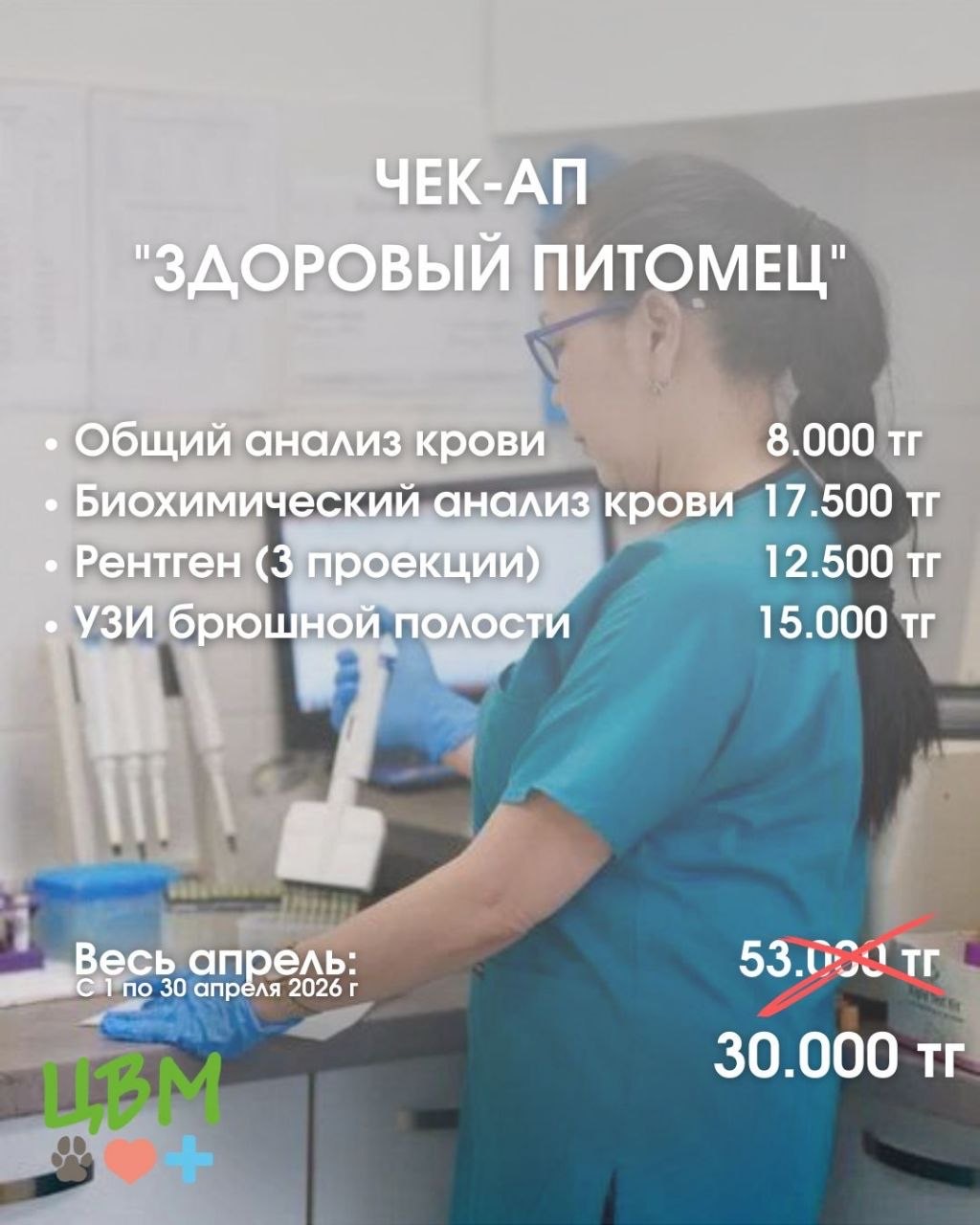 акция на гостиницу для кошек